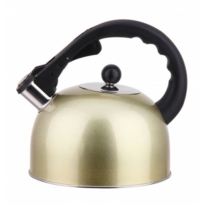 Zhongte Stainless Steel home appliances Whistling water Kettle with color painting